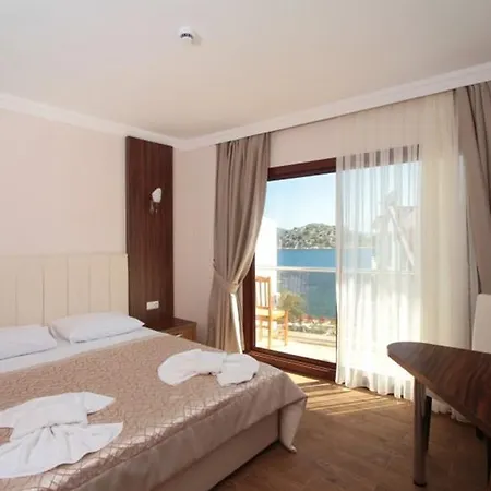 酒店 泰诺斯酒店 3*